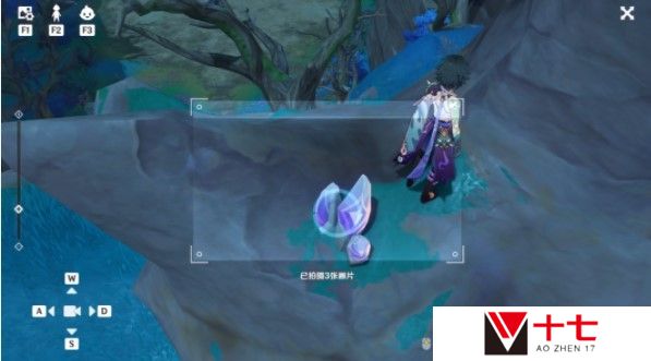 《原神》月章星句4张稻妻特产照片拍摄攻略
