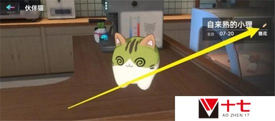 猫之城怎么改名-改名方法介绍