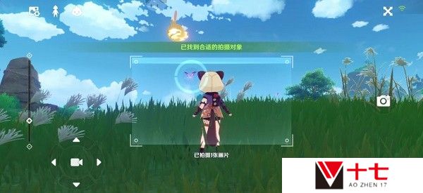 《原神》稻妻特色动物拍照任务完成攻略