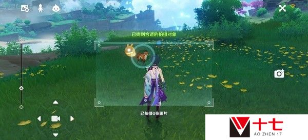 《原神》稻妻特色动物拍照任务完成攻略