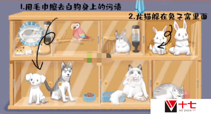 超级收纳馆第3关阿猫阿狗怎么通关-第3关阿猫阿狗通关攻略